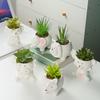 Cute Animal Flower Pot Succulent Pot Ceramics Planter Home Decor Desktop Ornaments Garden Decoration Bonsai Plant Pot