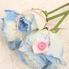 For 17cm Labubu I II Idol Dolls Cute Mini Plush Doll'S Clothes Korea Kpop Exo Idol Dolls DIY Accessories Gifts Bear Hoodie Set