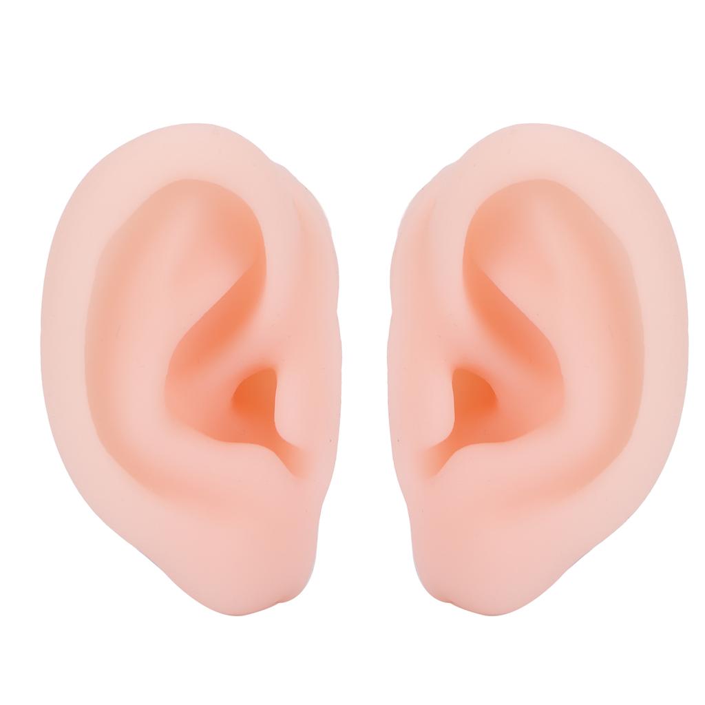1 Pair Silicone Simulated Ear Model Flexible Soft Ear Model for Hospital Display Learning