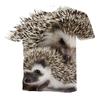 Summer T-Shirts Animal Hedgehog 3D Print  Fashion Casual Boys Girls Children O-Neck Tops