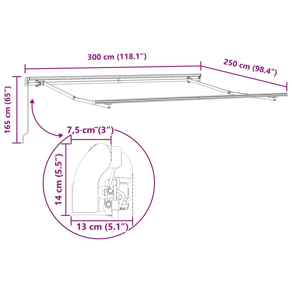 Retractable Awning Black 300 X 250 X 165 Cm