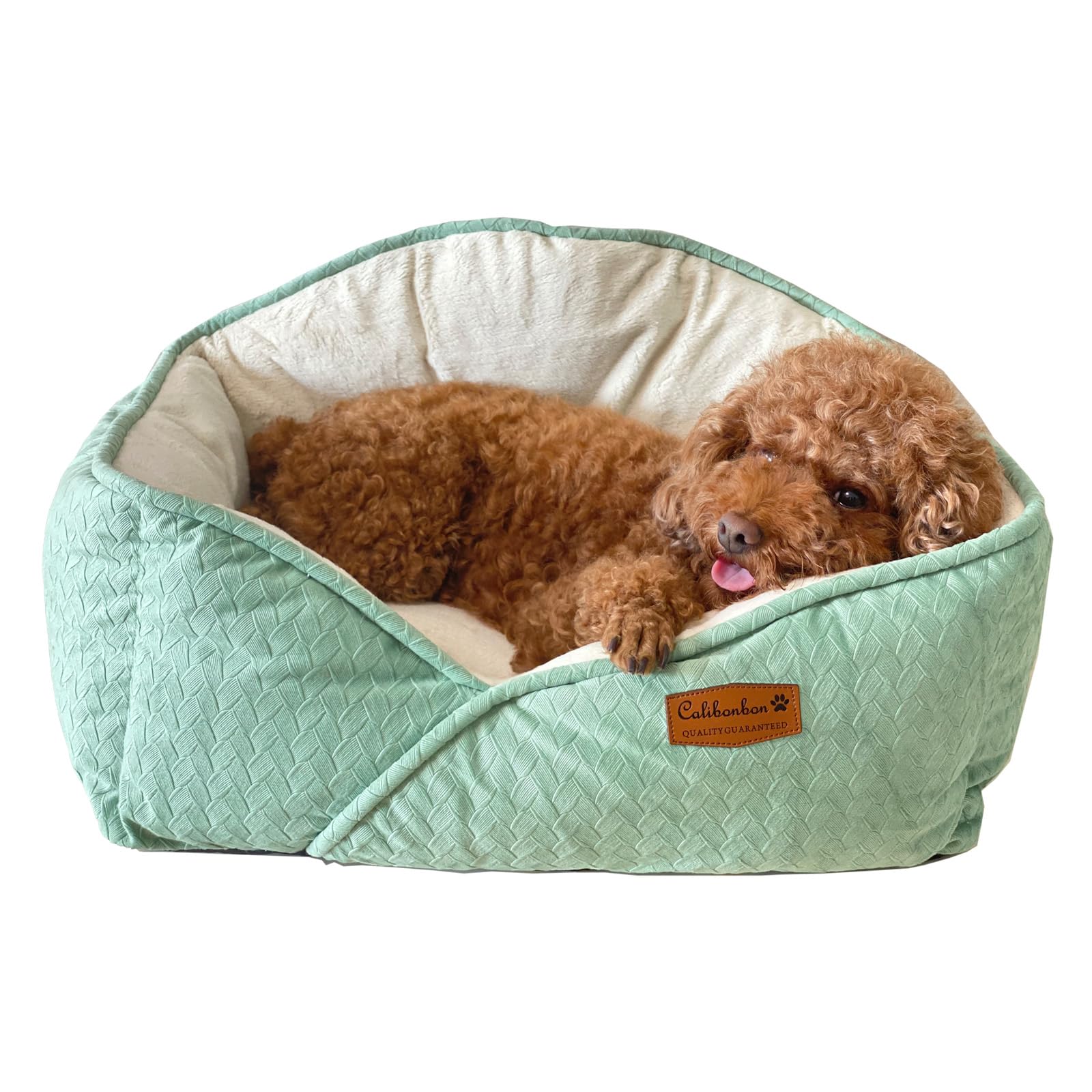 

Calibonbon Pet Bed for Dogs and Pet Green Bamboo Hand Washable and Machine Mint Green Cats, Sofa, Pattern, Built-in Zipper, Removable, Washable,