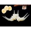 Fruit Fork Bird Cage Accessories for Parrots Tiger Skin Black Wind Bird Food Bird Supplies Toys Vegetable and Fruit Feeders