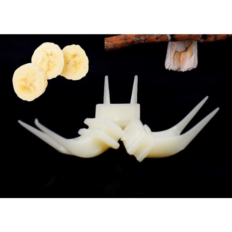 Fruit Fork Bird Cage Accessories for Parrots Tiger Skin Black Wind Bird Food Bird Supplies Toys Vegetable and Fruit Feeders