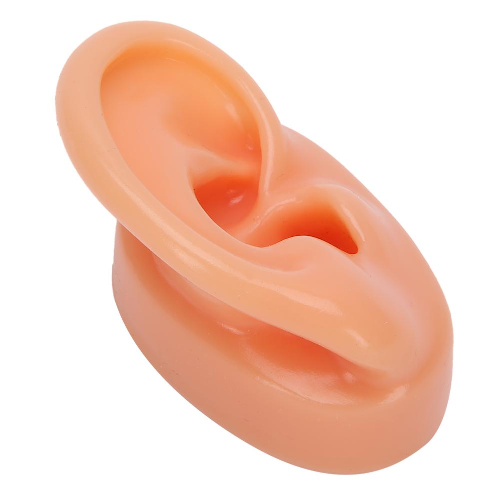 Silicone Right Ear Model Simulation Artificial Ear Display Model for Hearing Aids