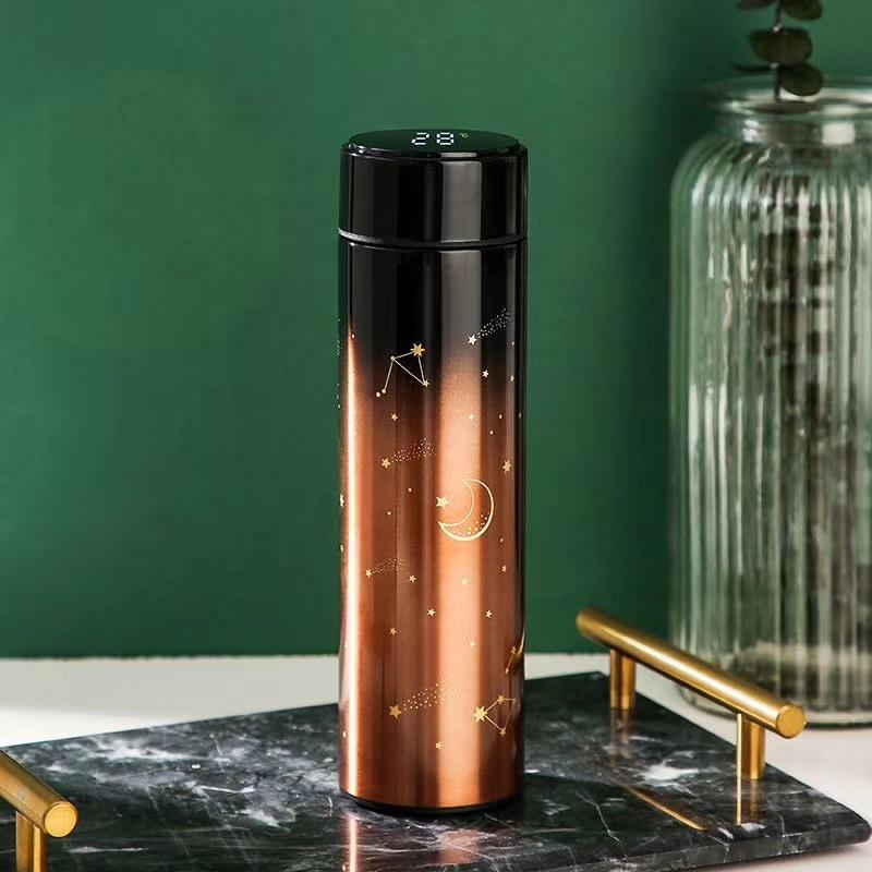 Smart Thermal Bottle Display Temperature Thermal Mug Stainless Steel Food Thermos For Tea Water Bottle With Heating Fashion Cup