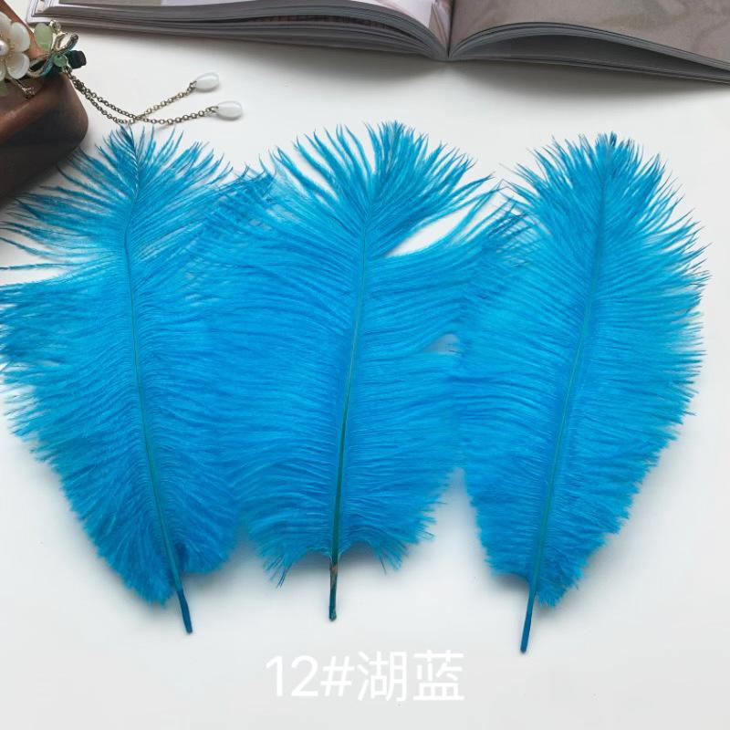 Ostrich Hair Colored Feathers 20-25Cm Wedding Table Lamp Decoration Stage Diy Material Clothing Accessories