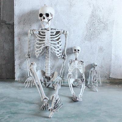 90/170cm Halloween Skull Skeleton Posable Skeleton Human Shape Bones Halloween Party Home Decorations Haunted House Horror Props