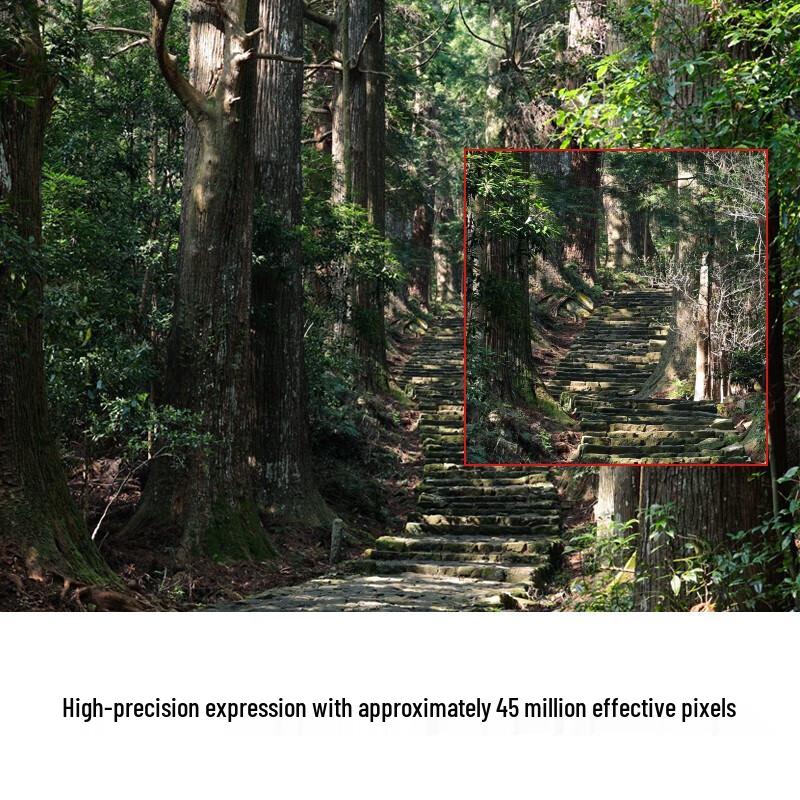 Canon EOS R5 Full-Frame Mirrorless Camera (CN version)