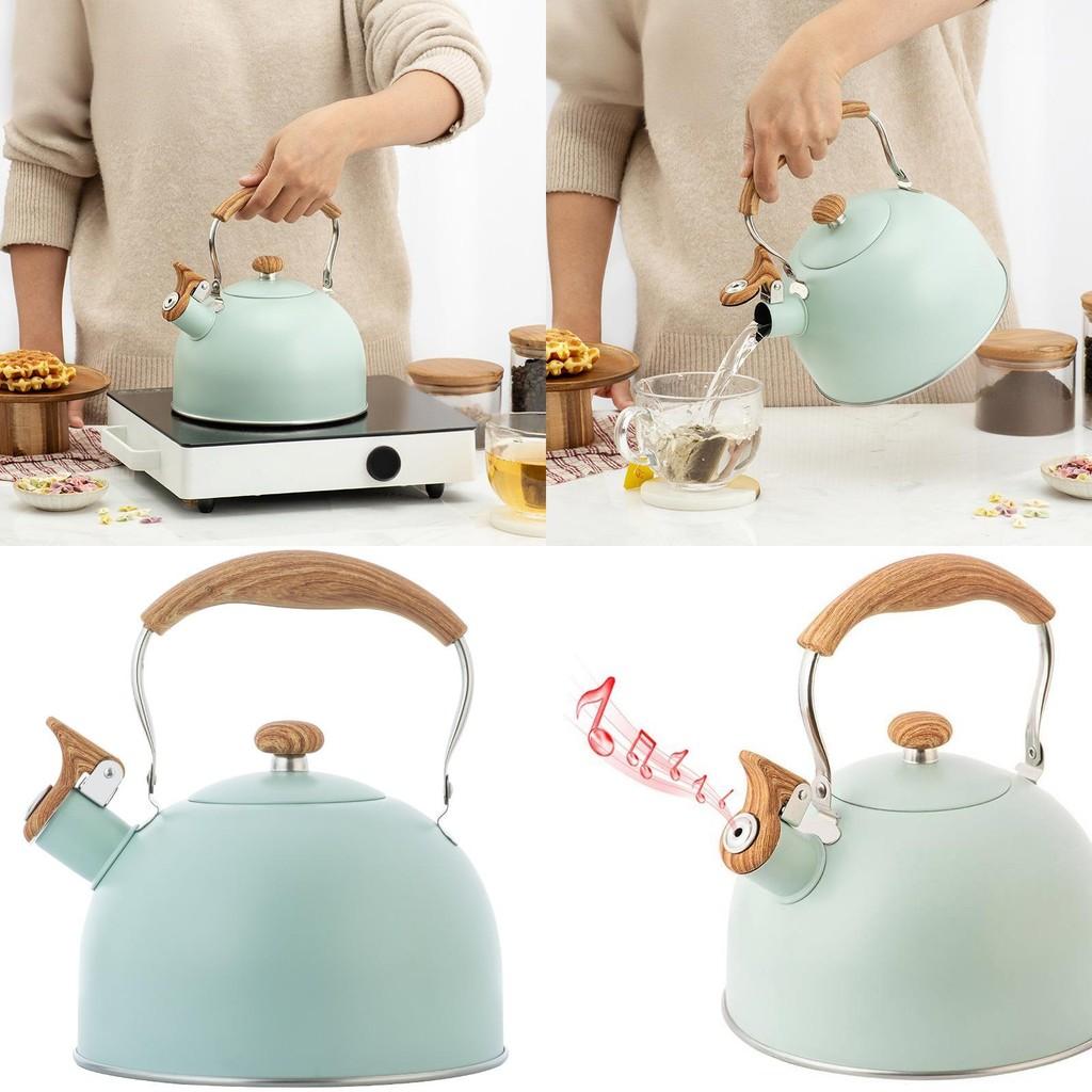 Modern Stainless Steel Whistle Kettle With Collapsible Handle For Home Kitchen And Gift Use