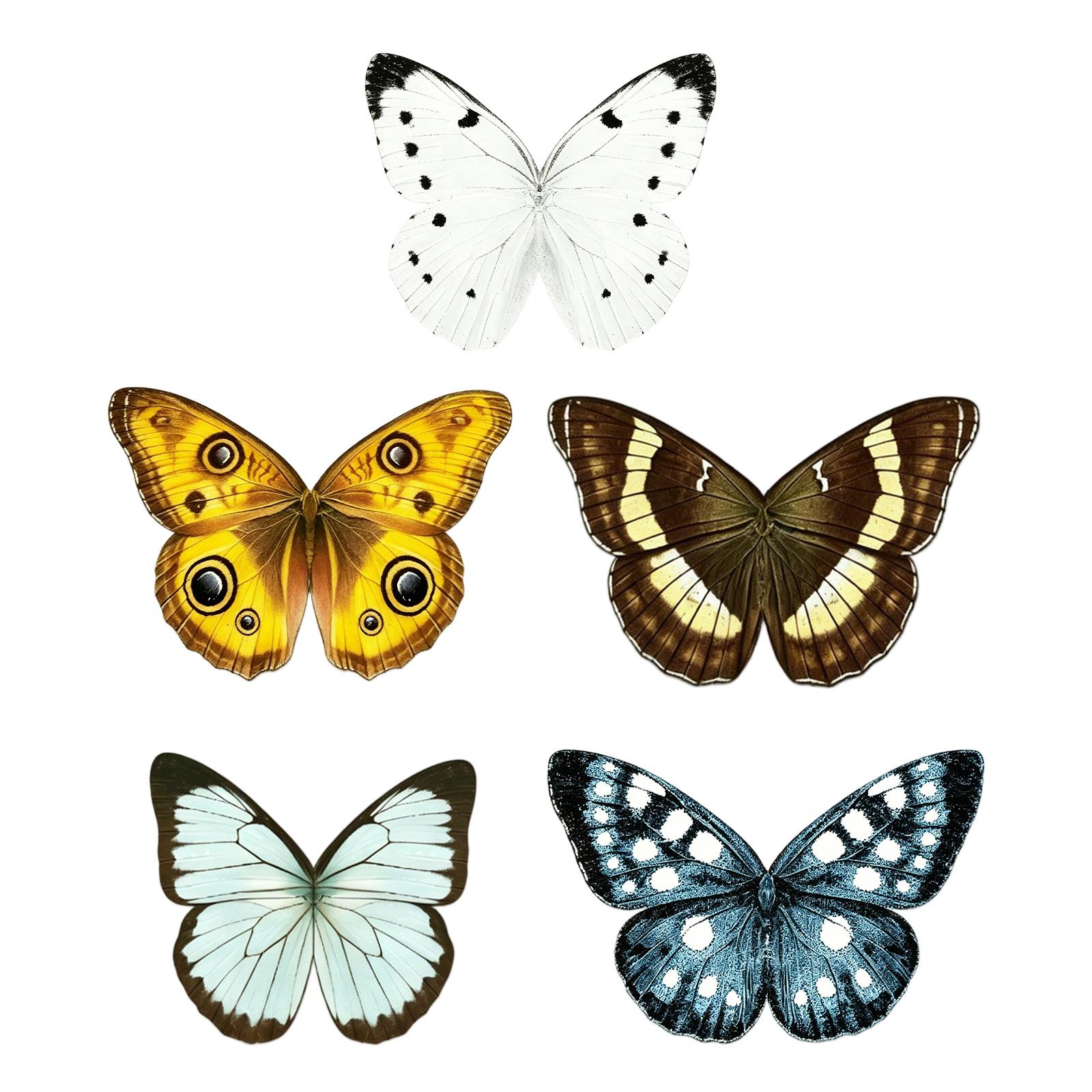 

5pcs Color Simulated Butterfly Magnetic Bookmark Set one size