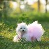 Handmade Pink Pet Princess Dress Small Dog Dress Pet Teddy Original Wedding Solid Colour Skirt Fashionable Dog Clothes Product