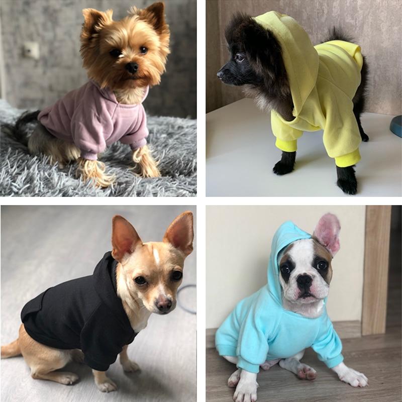 dog clothes design