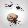 1Pc Fashion Halloween Scary Spider Shape Piercing Earring Ear Studs Jewelry