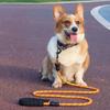 Reflective Nylon Dog Leash: Explosion-Proof Traction Rope for Small and Medium Dogs