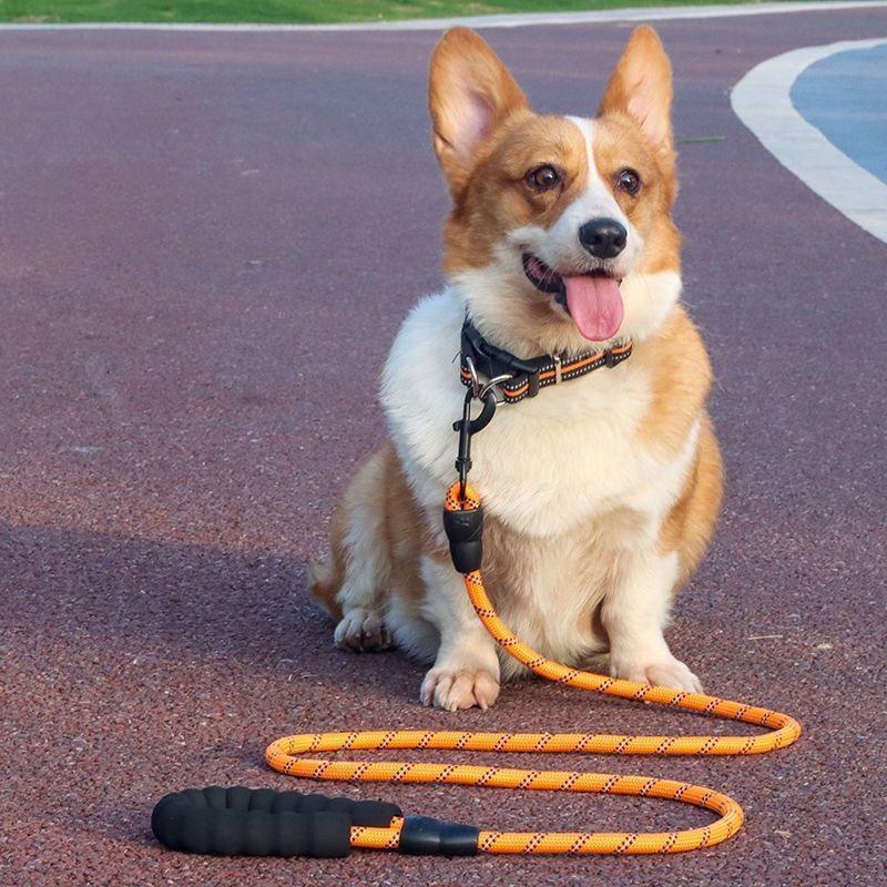 Reflective Nylon Dog Leash: Explosion-Proof Traction Rope for Small and Medium Dogs
