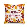 Autumn Pumpkin Pattern Pillowcases - Decorative Throw Cushion Covers