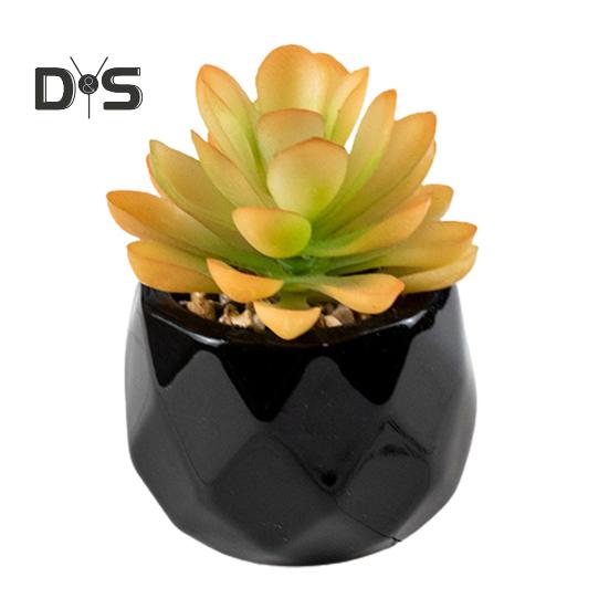 Kaufe Knstliche Pflanze, wiederverwendbar, realistisch, PVC, frisch,  pflegeleicht, knstliche Sukkulenten, Bonsai zum Preis ab 8.58 | Joom