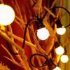 G50 Outdoor Waterproof Solar Globe String Lights for Camping, Courtyard, Awning, Tent & Decorative Atmosphere.
