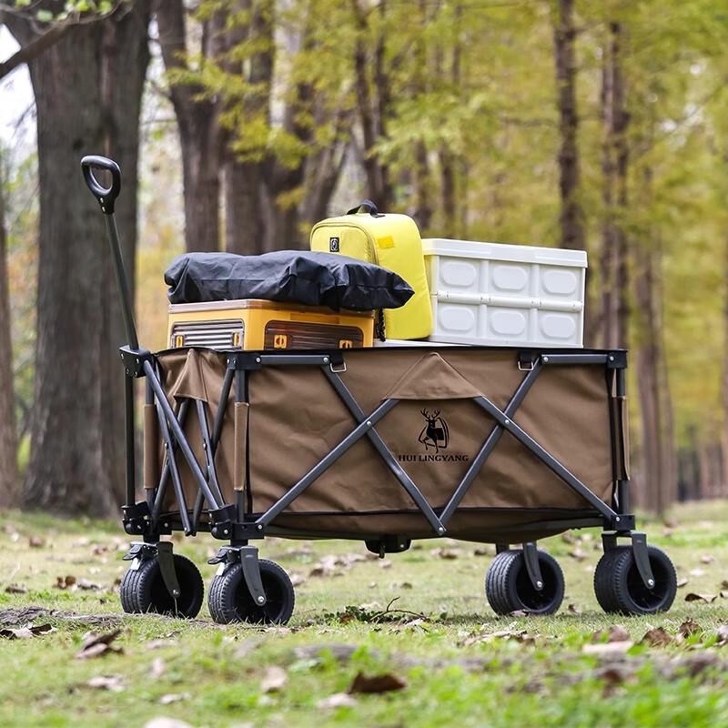 Hui Ling Yang Outdoor Kids Reclining Folding Cart