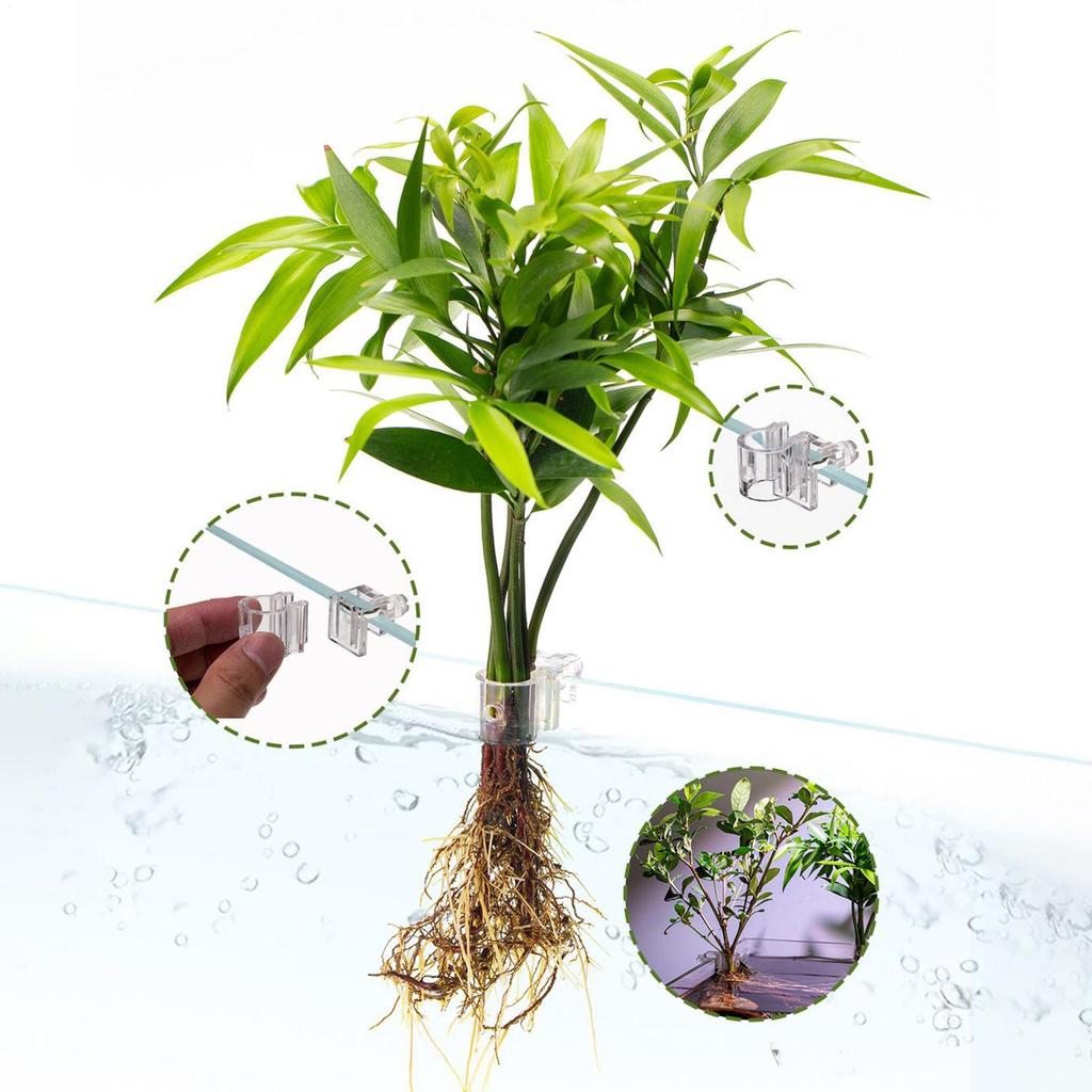 Aquarium Plant Stands 6 Pieces Clear Hanging Hydroponic Planting Bracket Plant Holder Cup for Fish Tank Home Grow Planting
