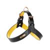 Most Popular in 2025 Stocked Waterproof Leather Dog Chest Harness Pet Leash Set for Small and Medium-Sized Dogs Dog Harness