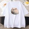 Cute Hamster Meme Graphic T-shirt Summer Round Neck Tee-shirt Print Clothes Kawaii Cartoon Women Tshirts Female Tees