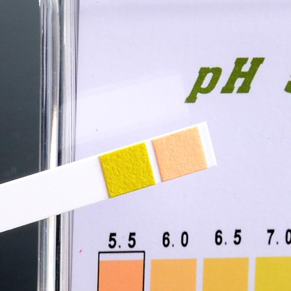 Buy Test for Strips Drinking Water Urine 100 Saliva Hydroponics 5.59.0