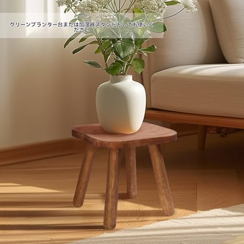 Pinyunxuan Small Wooden Children's Chair, Sensory Desk with Hand-Held Non-Slip Handle, Portable Square Bathroom Furniture Decoration, Size: 24cm*24cm*