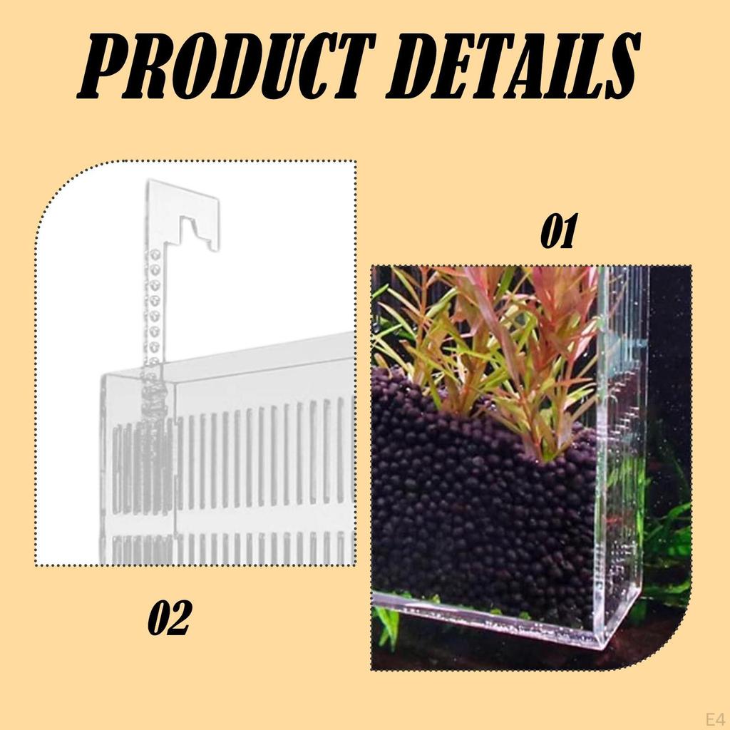 Clear Fish Isolation Box with Hook Mount Professional Hatching Incubator