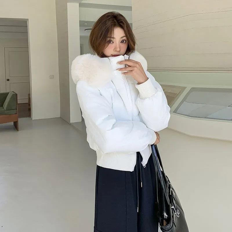 Ladies Down Padded Jacket Lapel Fashion Joker Winter Coat Temperament Korean Women Outwear