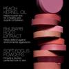 Nars The Multiple Soft Blur Blush Stick For Cheeks  Eyes And Lips 0.28 Oz 8 G Hot Take Apricot