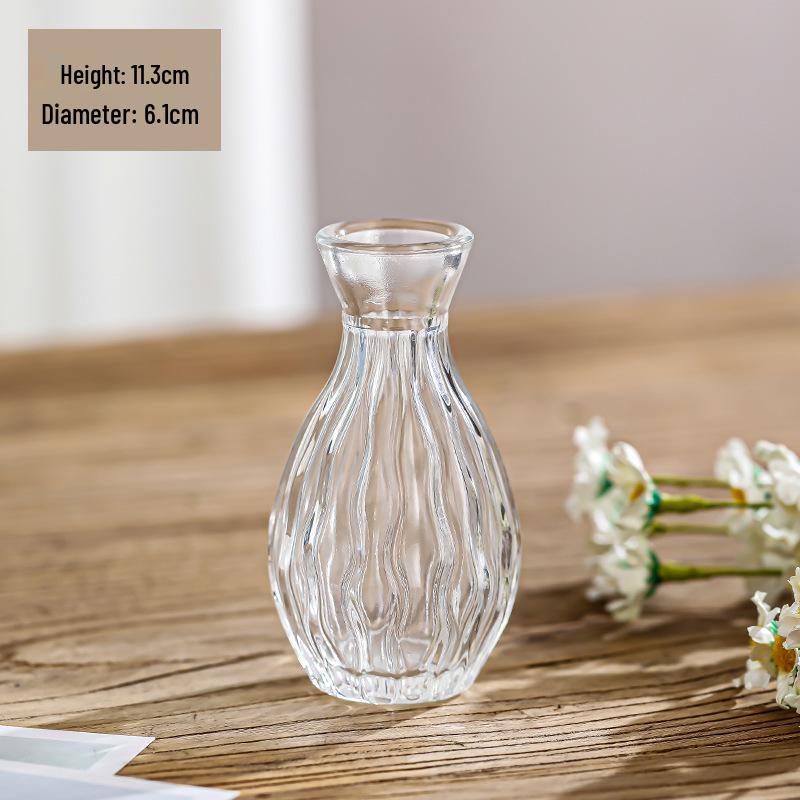 Small French Retro Glass Vase for Flowers and Hydroponics