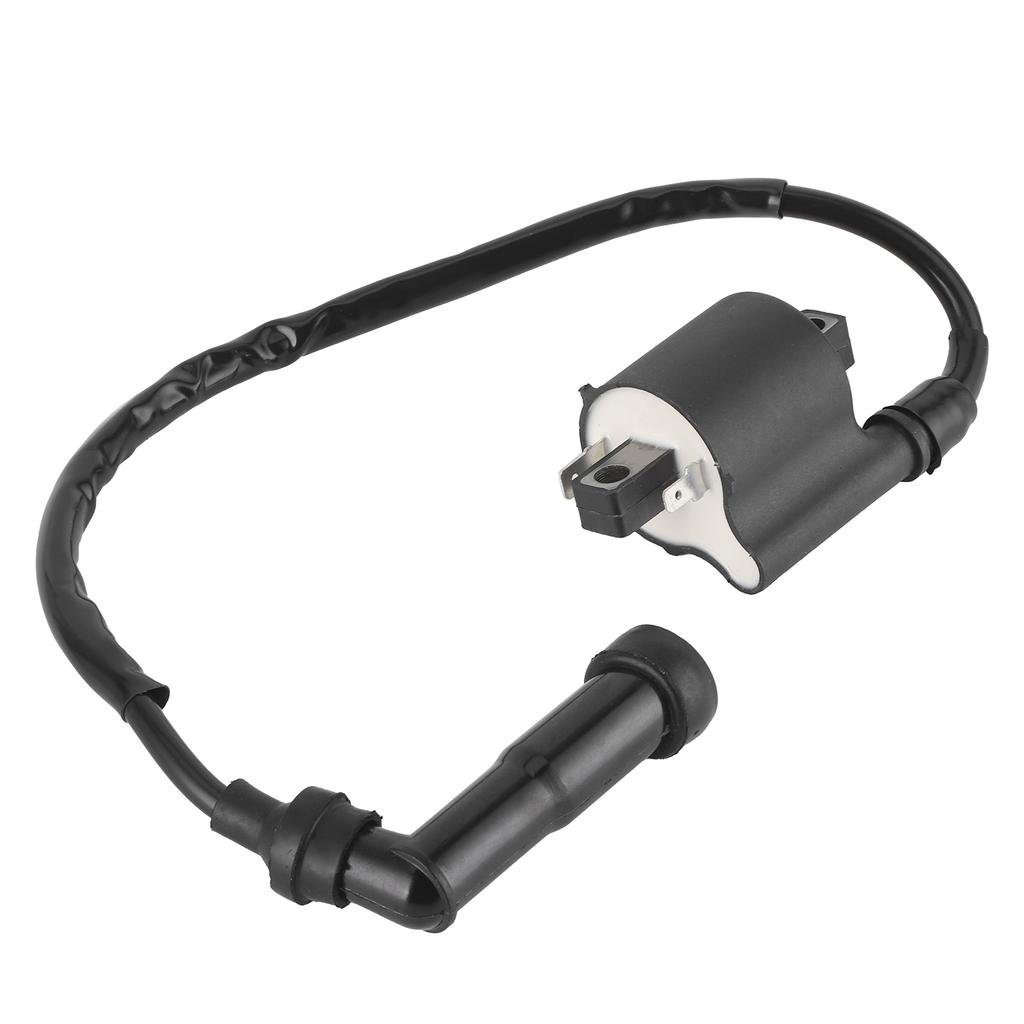 Ignition Coil 1D6?82310?00?00 Repalcement Fit for Yamaha Royal Star 1300Venture 1300Boulevard 1300