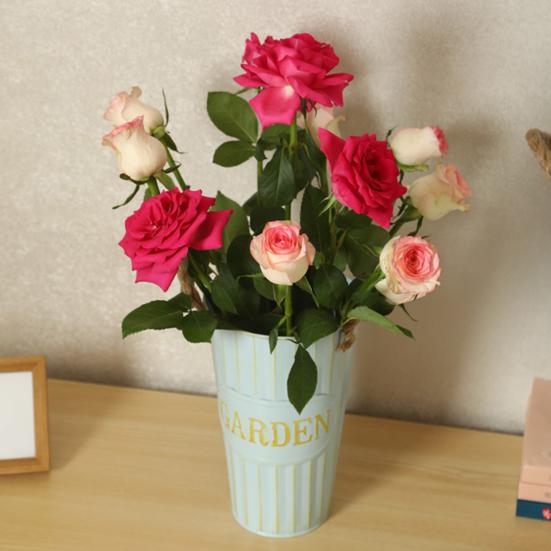 Deep Bucket Vase Galvanized Iron Flower Bucket with Rope Handles Retro Farmhouse Vase for Home Flower Arrangement