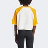 Adidas Originals Adicolor Sst Color Block Striped Short Sleeve T-Shirt Women Tops Yellow IZ2826