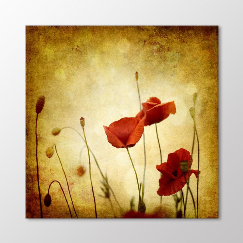 

Таблица имен