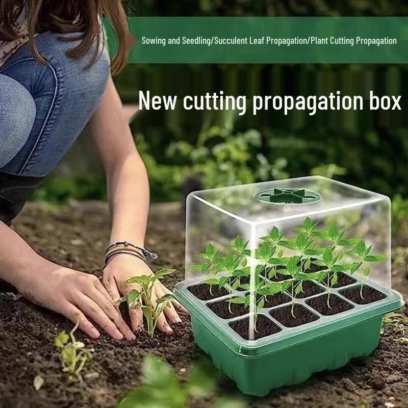 Maididuo 6-Hole Seedling Starter Tray Set