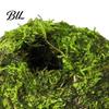 Humidity Maintaining Planter Moss Ball Flower Pot, Natural Green Bonsai Plant Holder, Decorative Spherical Pot for Home, Garden, Wedding Party