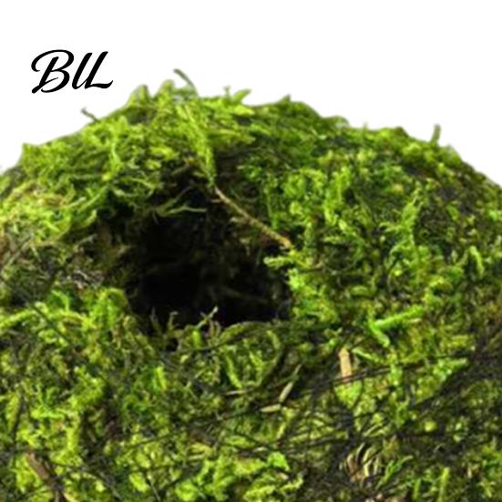 Humidity Maintaining Planter Moss Ball Flower Pot, Natural Green Bonsai Plant Holder, Decorative Spherical Pot for Home, Garden, Wedding Party