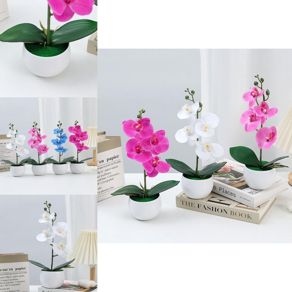 Durable Plastic Butterfly Orchid Fake Plant With Textured Finish For Celebrations And Photo Shoots