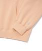 Small Authentic Hoodie Salmon