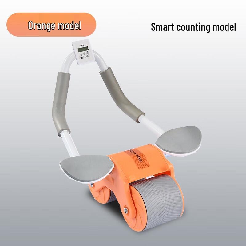 Ayoubu Double Wheel Ab Roller