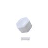 PPR Water Pipe External Thread End Cap