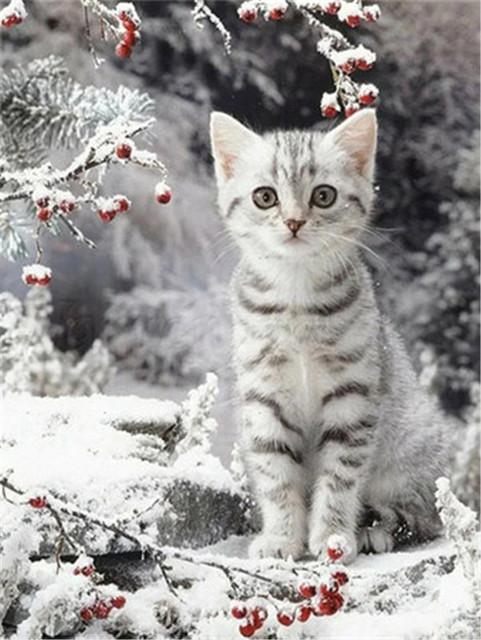 5D Diy Diamond Painting Cats And Dogs Full Round/Square Drill Embroidery Cross Stitch Animal Pet Mosaic Pictures Home Decoration