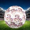 1pc Happy Birthday Party Animals Capybara Design Soccer Ball, Standard Football Size 5 for Training Competition Outdoor Sports, Unique Present