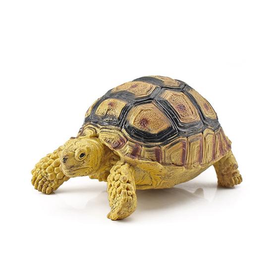Sulcata Tortoise Mold Vivid Clear Texture 3D Effect Sea Ocean Life Simulation Animal Model for Kids