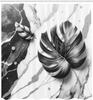 Grey Shower Curtain, Modern Marble Print Look Back and Realistic Monstera Leaf Monochrome Effect, Cloth Fabric Bathroo