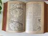 [USED] Antique Spanish Dictionary with Illustrations
