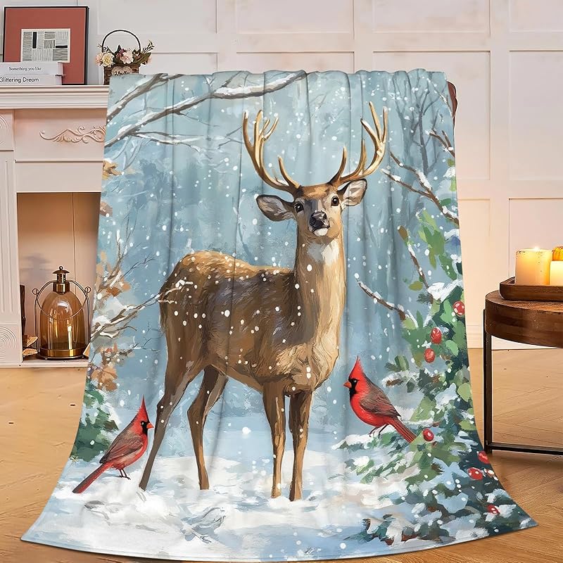 Christian Blanket Soft Warm Bible Verses Wool Throw Blanket Christian Gift for Women Cozy Fluffy Plush Religious Trust Lord Lightweight Flannel Gift 50 x40